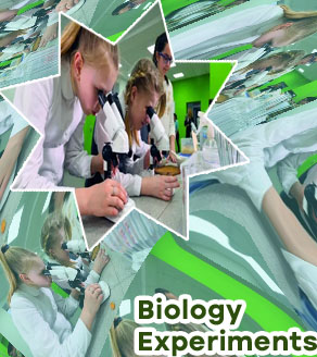 Biology experiments for class 9