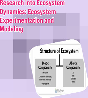 Define ecosystem in biology