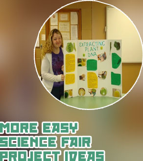 Science fair ideas for 12th graders